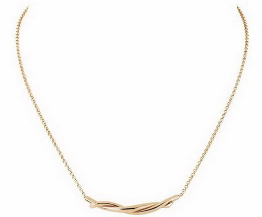 Cartier؁T(j)ʥQY]