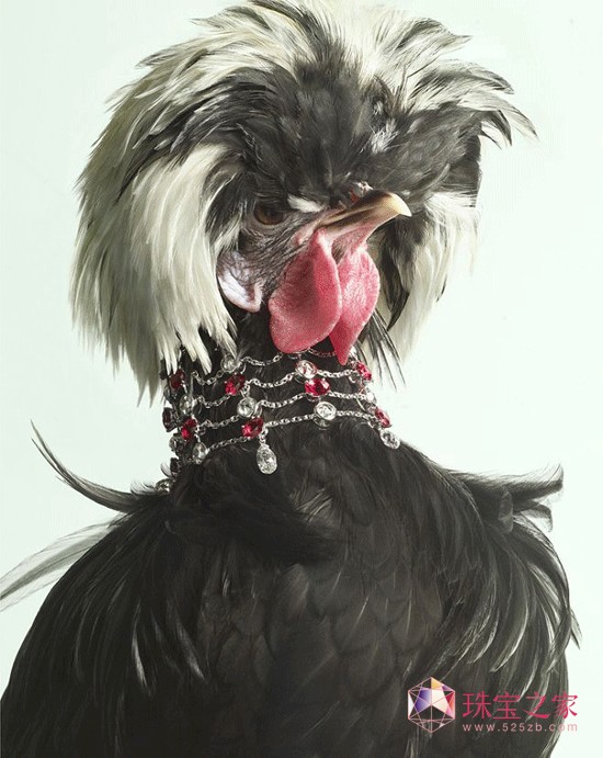 Peter Lippmannëϵ錚AƬ