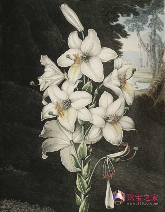 ԊDMétiers d’Artˇg(sh)“֮”ϵ
