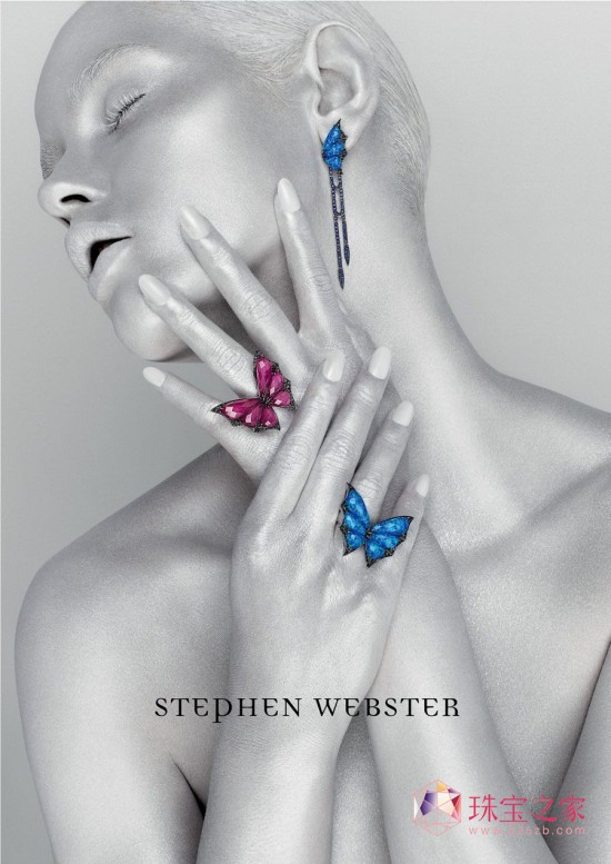 STEPHEN WEBSTER 2013/14ﶬ錚Ƭ