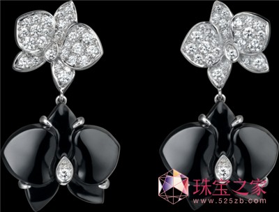 ؁CARESSED‘ORCHIDÉESPARCARTIERh(hun)
