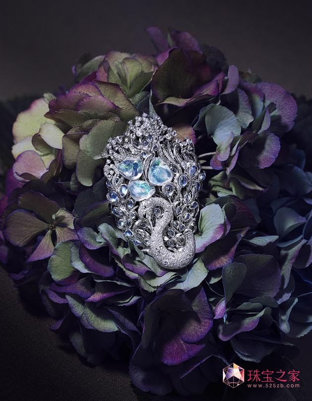 Le Cygny-Brooch ZČ¹ʯ@